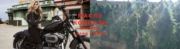 спиды Богданович