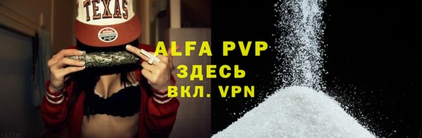 спиды Богданович