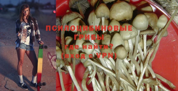 спиды Богданович