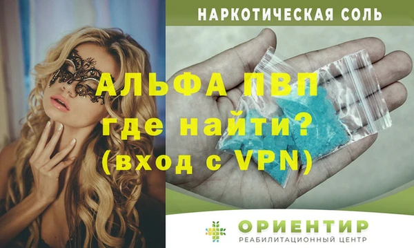 спиды Богданович