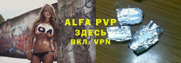 спиды Богданович