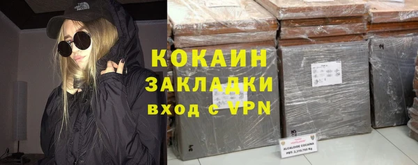 спиды Богданович