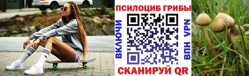 площадка телеграм  Кировск  Псилоцибиновые грибы Psilocybine cubensis 